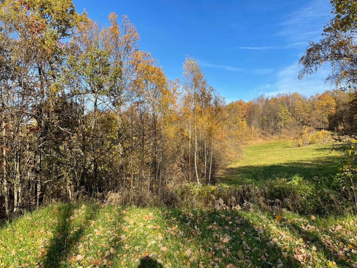 Domki Marczyce Sosnówka Buitenkant foto